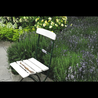 飯塚市で庭木の剪定をするなら庭喜屋有限会社へ